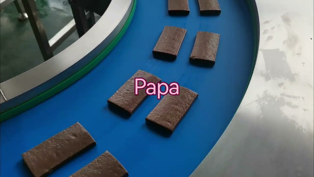 Papa best selling P308 protein energy bar extruder machine with hopper heating and cooling function