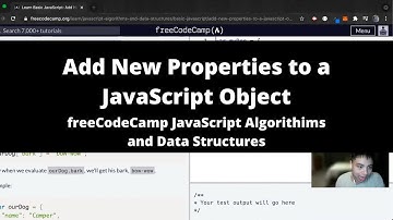 Add New Properties to a JavaScript Object (Basic JavaScript) freeCodeCamp tutorial