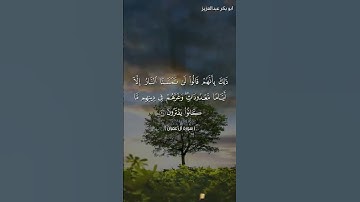 ما تيسر من سورة ،ال عمران