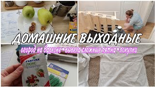 ✅ГРЯДКИ на БАЛКОНЕ своими руками🌿•РЕЦЕПТ ВКУСНОГО и БЫСТРОГО ПИРОГА🥧ОТСТИРАЛА СЛОЖНЫЕ ПЯТНА🧺