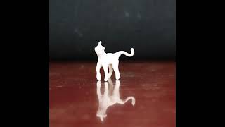 List of Cat Names