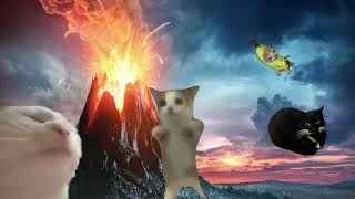 happy happy cat tiktok song 1 hour (relaxing)