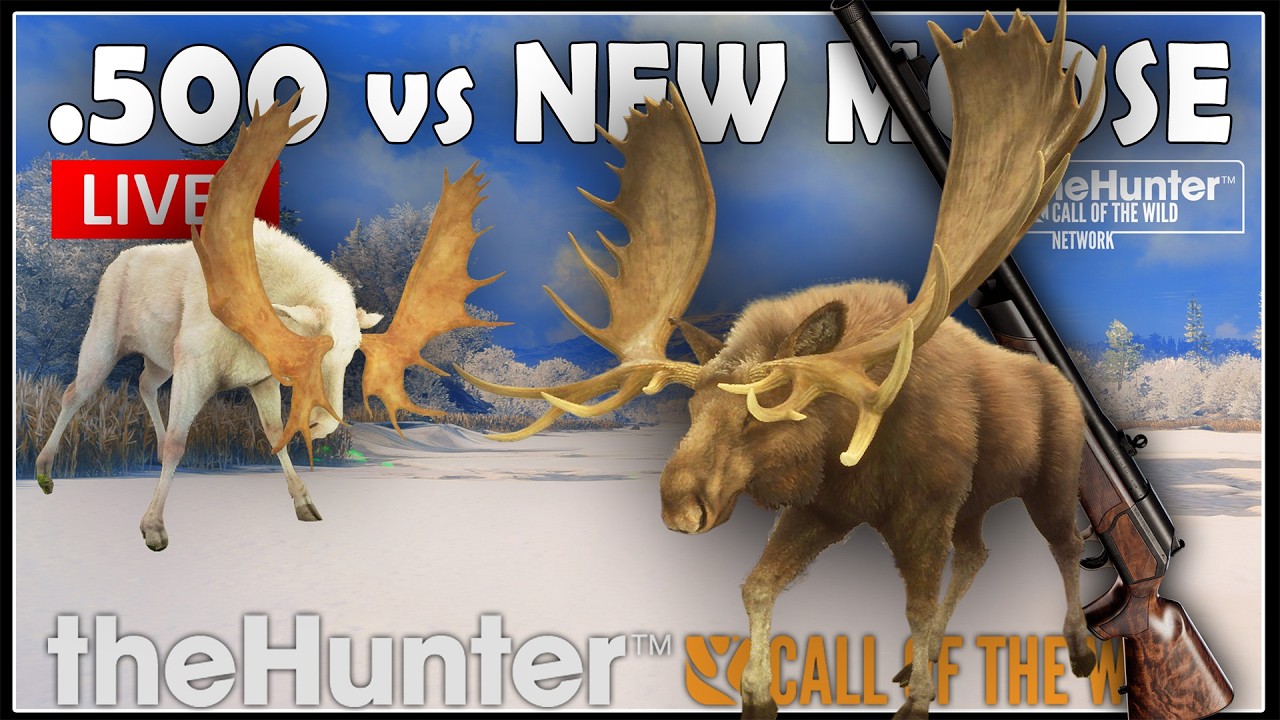 NEW MOOSE RACKS! Hunting Moose with the .500 in Early Access 🔥 LIVE ...