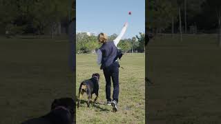 Vero Beach Dog Park