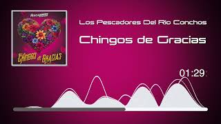 Los Pescadores Del Rio Conchos - Chingos De Gracias Audio