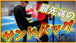 次世代のサンドバッグが最強すぎた！！！