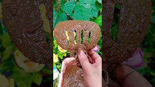 KALAU KAU SUKA la la la🍓🍇🍭🍒💛❤🌽#shorts #cutebabyfunn #fypシ