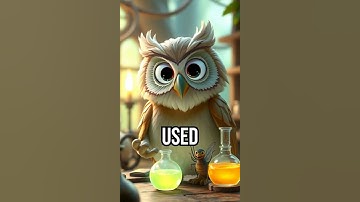 Discover the magic of unity! #bedtimestory #magic #unity