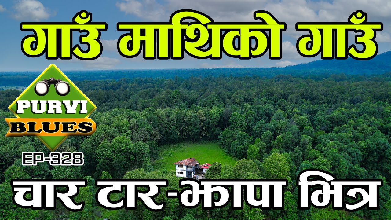 चार टार भित्रको गाउँ || गाउँँ माथिको गाउँ Telpani Bahundangi Jhapa #purviblues