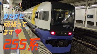 【255系】JR東日本 外房線 特急わかしお