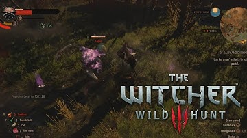 The Witcher 3: Wild Hunt - How to properly kill Foglets [Max Difficulty]