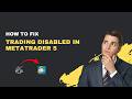 How to Fix "Trading Disabled" in MetaTrader 5 – 2026 Reset Guide