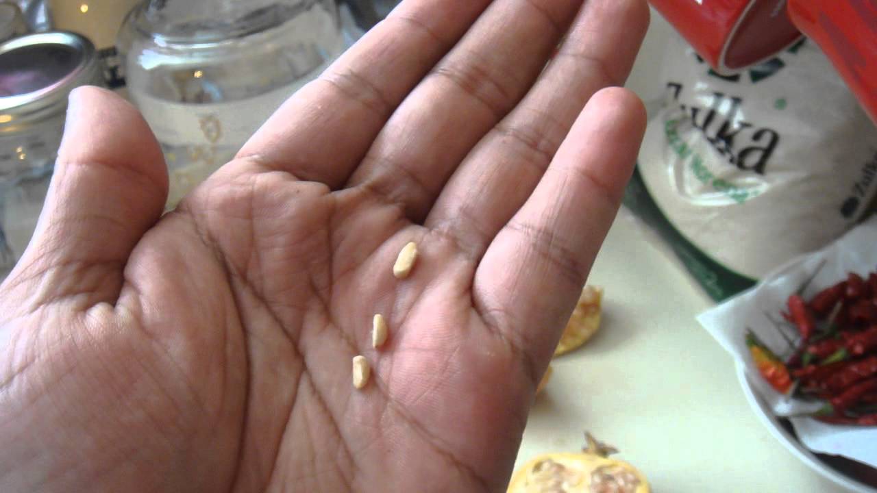 Pomegranates!!! How To DeSeed A Pomegranate!!! Very Easy!!! And Tips