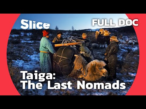 Mongolian nomads’ ultimate dilemma | SLICE I Full documentary