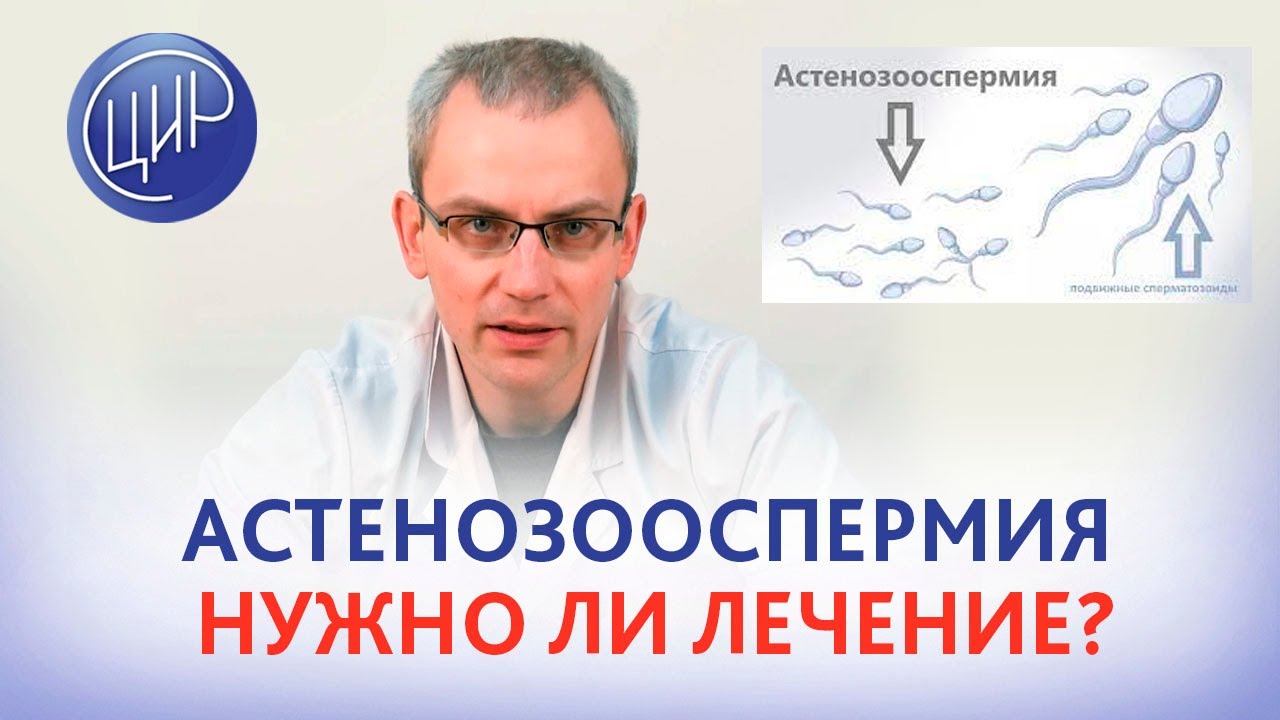 Астенозооспермия и подготовка к внутриматочной инсеминации. Врач андролог ЦИР, к.м.н., Живулько А.Р.