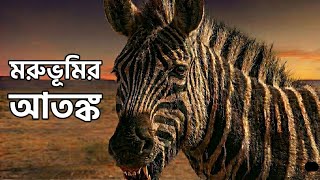 অর্ধেক জেব্রা অর্ধেক ঘোড়া—এই অদ্ভুত প্রাণী সত্যি ছিল!