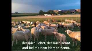Video thumbnail of "Weil ich Jesu Schäflein bin - Kinderlied auf Pfeifenorgel"