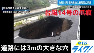 JR在来線は夕方4時から一部運転再開・動物園は臨時休業。台風14号の爪痕は様々な場所に影響が…