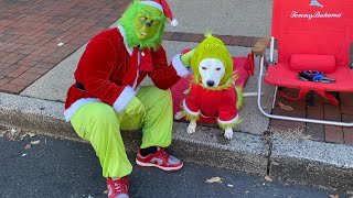 #grinch #grinchie #phillygrinch