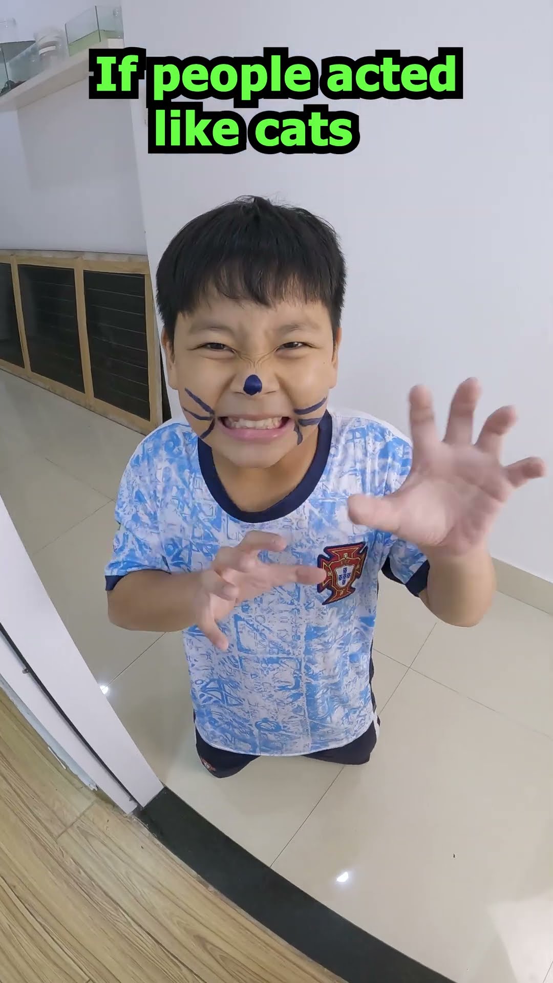 ACC - Trung Bình Các Con Mèo Trên Thế Giới || Average Cats in the World. #funny #troll