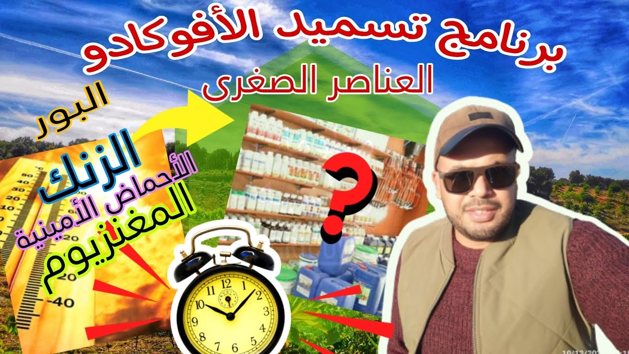 برنامج تسميد الأفوكادو بالعناصر الصغرى إستعدادا للإجهاد الحراري