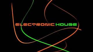 Electronic House #1