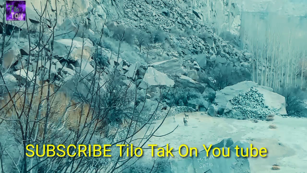 love at first sight.../ How Markhor on the road ?