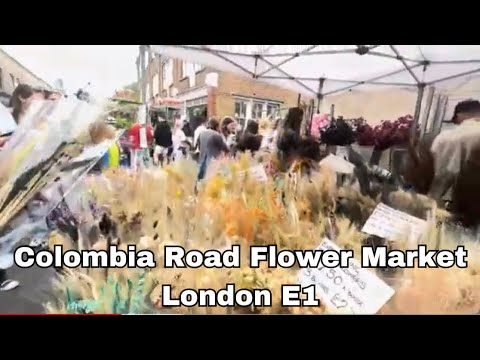 Video: Kdy je kolumbijský silniční květinový trh?