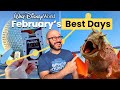 The Best (and Worst) Days to Visit Disney World in February 2026