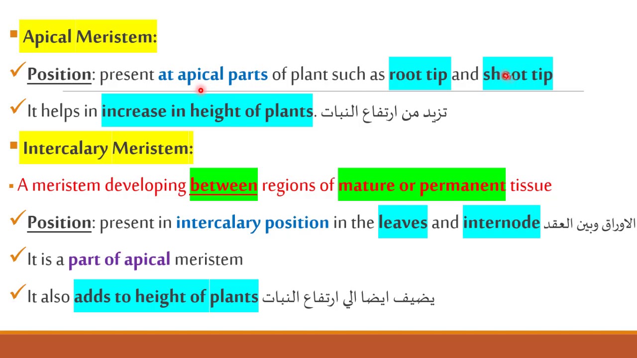 اكاديمية جود - احياء ام القري - اناتومي المحاضرة 1 الجزء 1