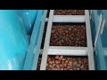 #hazelnut  De-Stoner  #fındık  Taş Ayırıcı #destoner  #fındıkişleme  #fındıktesisi  #hazelnuts