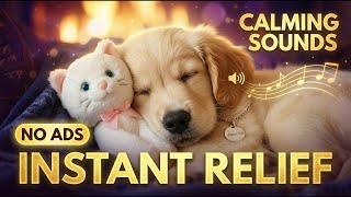 Helps Anxious Dogs Relax Fast 🐶 Dog Calming Music for Separation Anxiety &amp; Deep Sleep