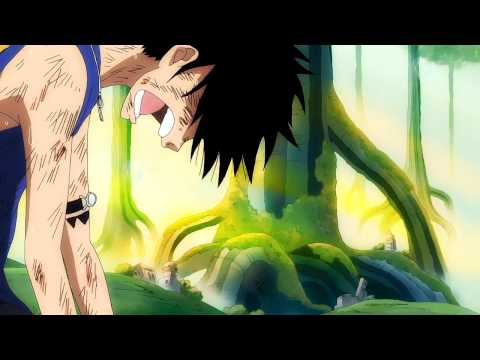 (+) One Piece Amv -Heart of courage