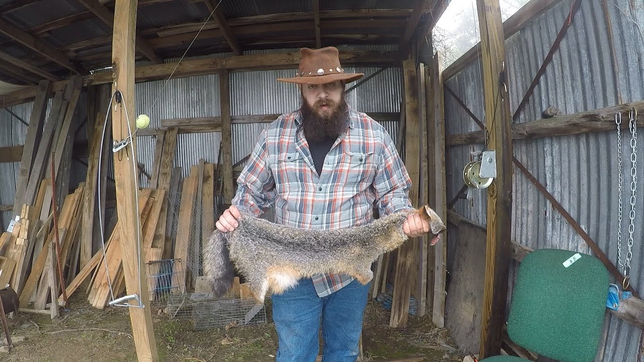 How to skin a Fox YouTube