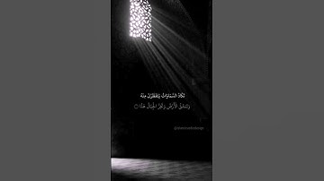 وقالوا اتخذ الرحمان ولدًا | سورة مريم أحمد النفيس #القرآن_الكريم #أحمد_النفيس #سورة_مريم