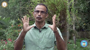 Thamarassery| Online Catechism| Class 8 | Chapter 8 | Part 2