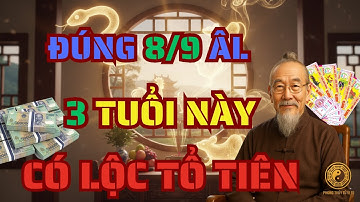 Hé Lộ 3 Con Giáp Có LỘC Từ TỔ TIÊN Ngày 8 Tháng 9 Âm Lịch Năm Ất Tỵ 2025