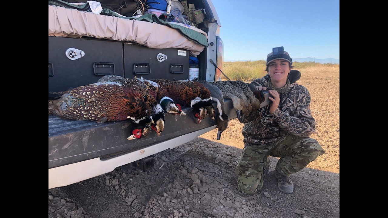 2022 Duck and Pheasent Hunt at Wister YouTube