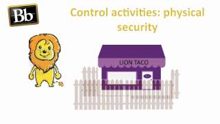 Internal control (a lion story)