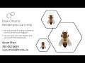 Dr. Susan Willis Chan - Overwintering Nuc Project