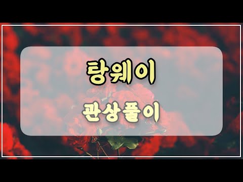 관상과학 탕웨이 관상 「관자놀이 관상법」