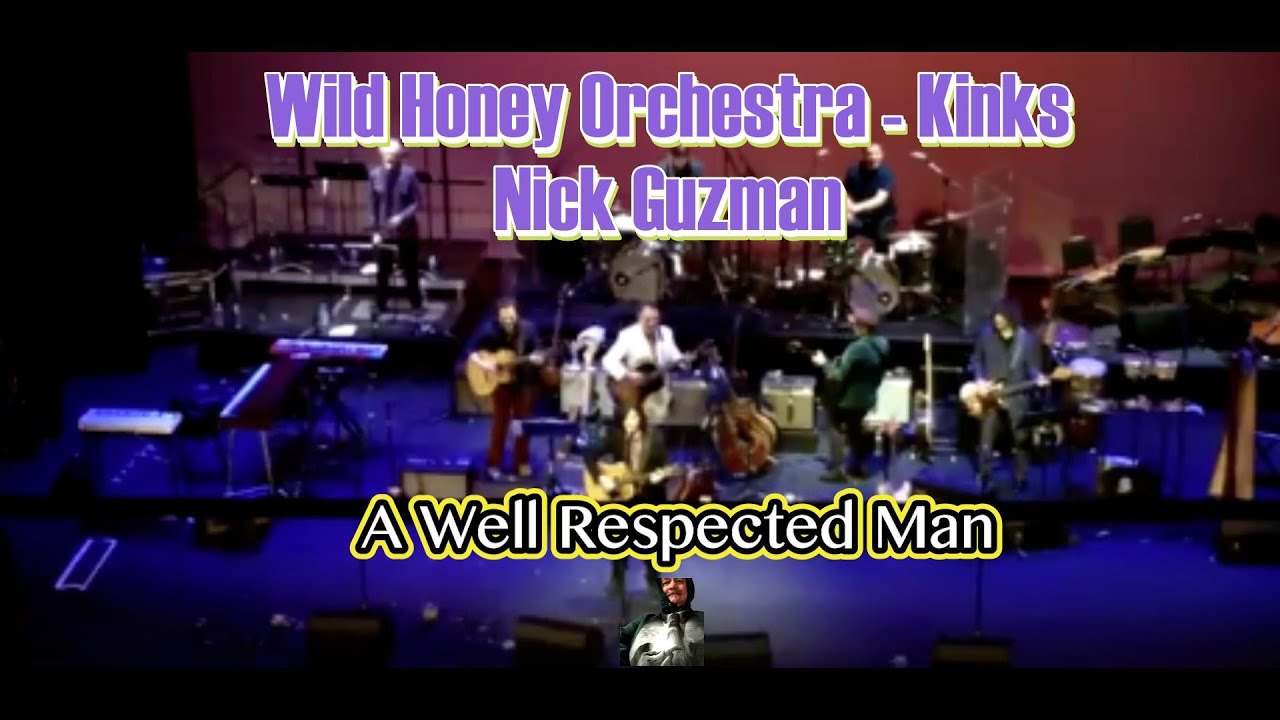 Wild Honey Orchestra Kinks Tribute - A Well Respected Man - Nick Guzman