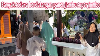 During Eid We Harvest Rare Super Jumbo And Black Guava  Many Brothers Arrive