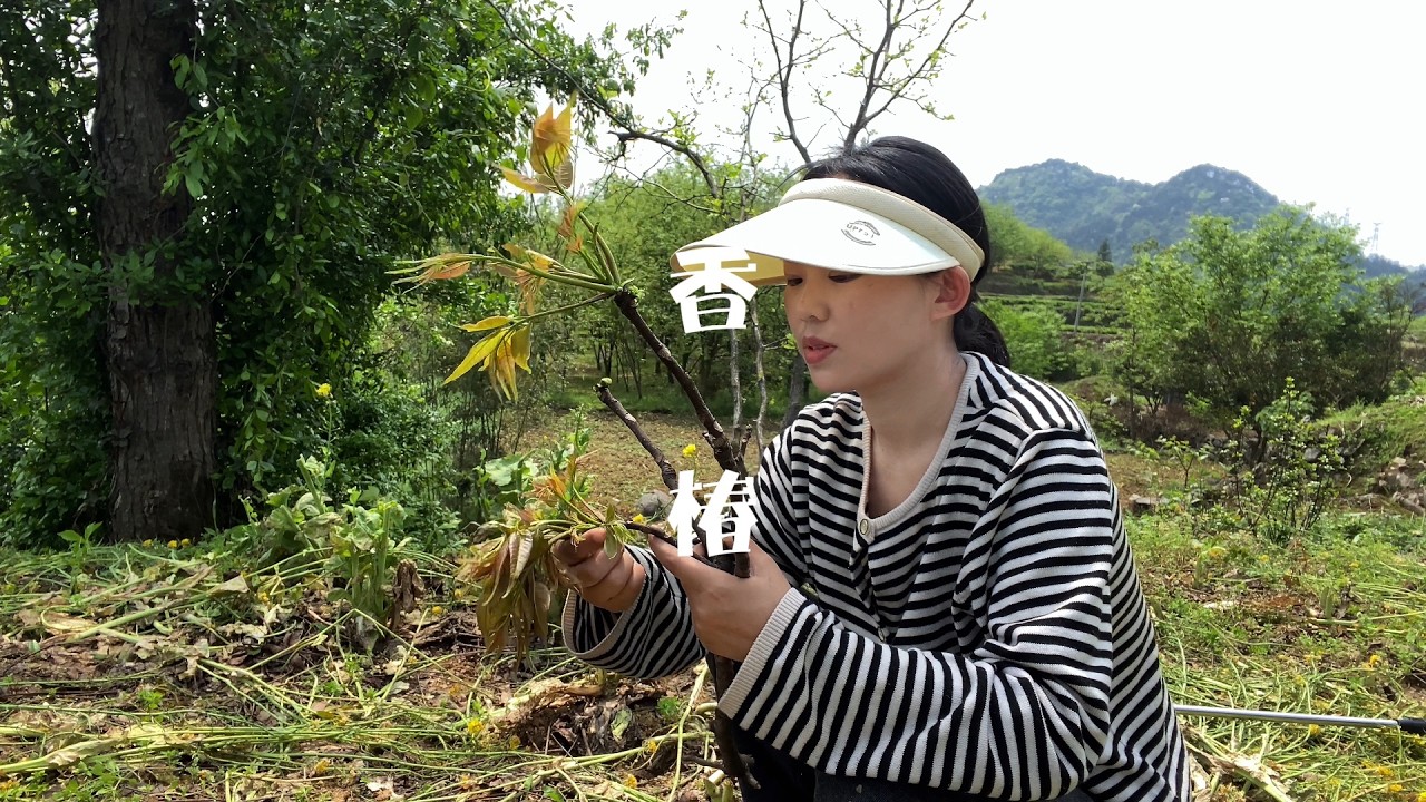 网购了一个7米长的勾子，就是为了一餐香椿，果然没有让我失望