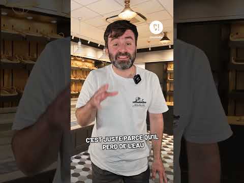 Vidéo YouTube