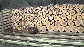 fire wood year round job