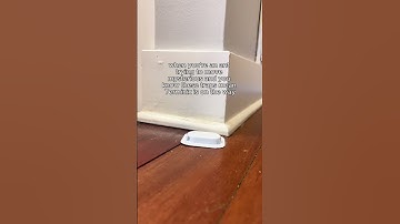 pests getting too comfy in yourhome? we’ll be right there. 💪