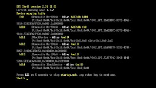Remove the UEFI from Shell on the Digital Republic laptop Profile