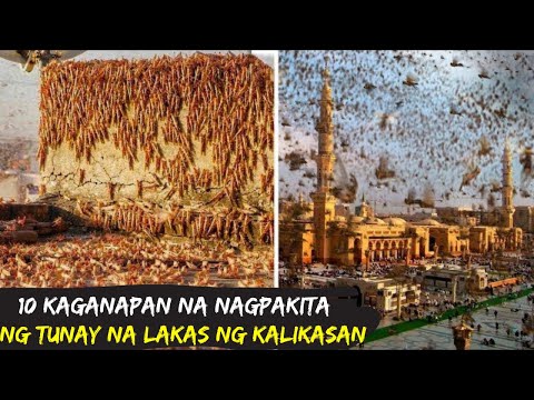 Video: Lihim na operasyon 