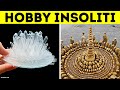 16 Hobby Interessanti Quanto Assurdi